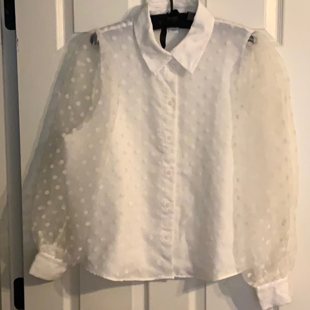 Elegant Sheer Polka Dot Blouse